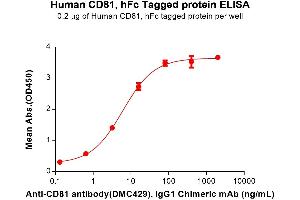 ELISA plate pre-coated by 2 μg/mL (100 μL/well) Human CD81 Protein, hFc Tag (ABIN7092751, ABIN7272320 and ABIN7272321) can bind Anti-CD81 antibody, IgG1 Chimeric mAb in a linear range of 0. (CD81 Protein (CD81) (AA 113-201) (Fc Tag))