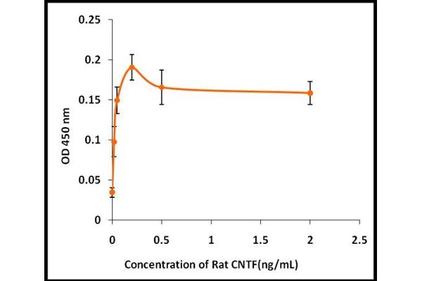 CNTF Protéine