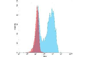 Flow cytometry analysis with 1 μg/mL PE-conjugated GD-mFc protein (ABIN7092724, ABIN7272158 and ABIN7272159P) on Anti GD CAR-Jurkat cells (Blue histogram) or negative Jurkat cells (Red histogram). (GPRC5D Protein (mFc Tag,PE))