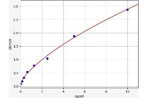 Typical standard curve (MSRB2 Kit ELISA)