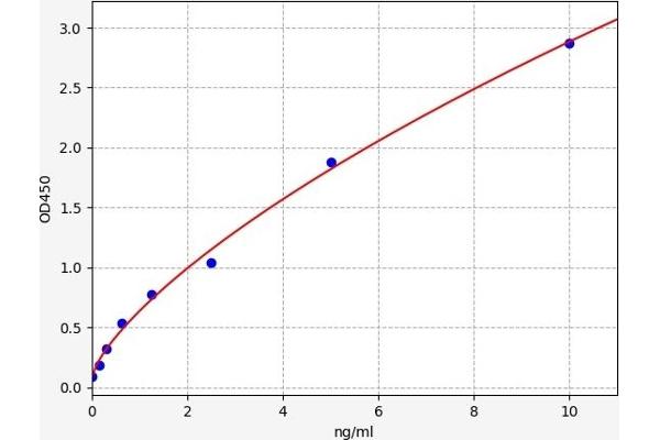 MSRB2 Kit ELISA