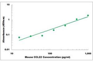 Representative Standard Curve (CCL22 Kit ELISA)