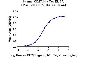 Immobilized Human CD27, His Tag at 2 μg/mL (100 μL/Well). (CD27 Protein (AA 21-192) (His tag))