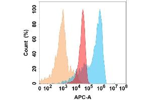 JAM-A protein is highly expressed on the surface of Expi293 cell membrane. (F11R anticorps)