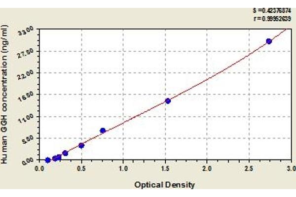 GGH Kit ELISA
