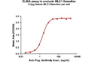 Elisa plates were pre-coated with Flag Tag -Nanodisc (0. (MLC1 Protéine)