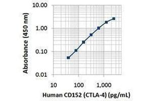 ELISA image for anti-Cytotoxic T-Lymphocyte-Associated Protein 4 (CTLA4) antibody (Biotin) (ABIN2660787) (CTLA4 anticorps  (Biotin))
