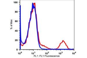 Image no. 2 for anti-Membrane-Spanning 4-Domains, Subfamily A, Member 1 (MS4A1) antibody (FITC) (ABIN2704213) (CD20 anticorps  (FITC))