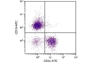 BALB/c mouse splenocytes were stained with Mouse Anti-Mouse CD19-APC. (CD19 anticorps  (SPRD))