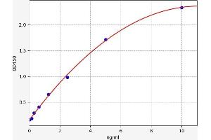 BNIP3L/NIX Kit ELISA