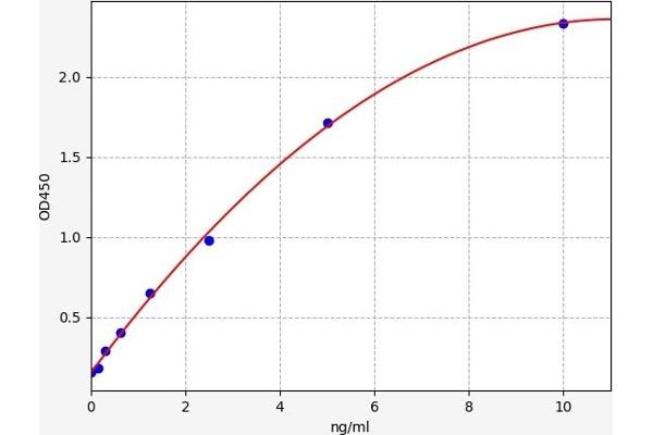 BNIP3L/NIX Kit ELISA