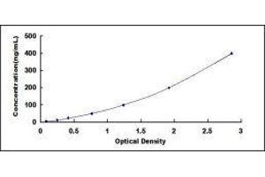 ELISA image for Gelsolin (GSN) ELISA Kit (ABIN6574154)