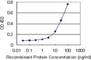 Detection limit for recombinant GST tagged UBE2M is 1 ng/ml as a capture antibody. (UBE2M anticorps  (AA 1-183))