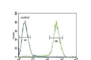 Flow Cytometry (FACS) image for anti-Cannabinoid Receptor 2 (CNR2) (AA 329-356), (C-Term) antibody (ABIN654631)