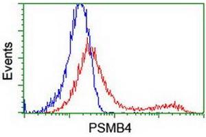 Flow Cytometry (FACS) image for anti-Proteasome (Prosome, Macropain) Subunit, beta Type, 4 (PSMB4) antibody (ABIN1500470) (PSMB4 anticorps)