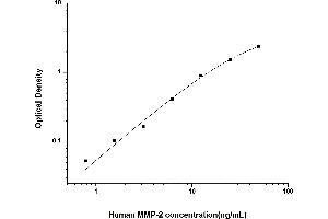 Typical standard curve (MMP2 Kit ELISA)