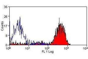 Flow Cytometry (FACS) image for anti-CD41,CD61 antibody (ABIN2480360) (CD41, CD61 anticorps)