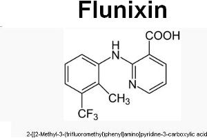 Image no. 1 for anti-Flunixin antibody (ABIN487692) (Flunixin anticorps)