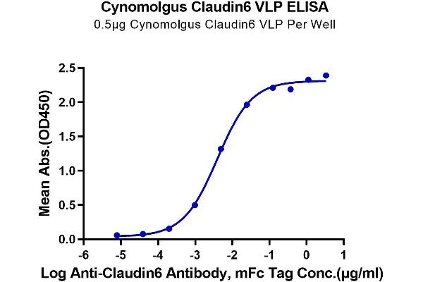 Claudin 6 Protein-VLP (CLDN6) (AA 1-220)