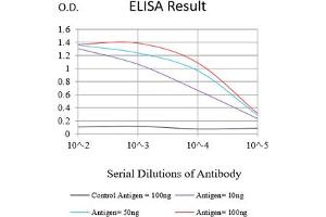 Black line: Control Antigen (100 ng),Purple line: Antigen (10 ng), Blue line: Antigen (50 ng), Red line:Antigen (100 ng) (MDM2 anticorps  (AA 26-169))