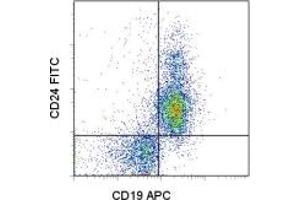 Image no. 1 for anti-CD24 Molecule (CD24) antibody (FITC) (ABIN474790) (CD24 anticorps  (FITC))
