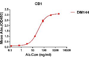 ELISA plate pre-coated by 1 μg/mL (100 μL/well) Human CB1 protein, hFc tagged protein ABIN6964092, ABIN7042439 and ABIN7042440 can bind Rabbit anti-CB1 monoclonal antibody (clone: DM144) in a linear range of 5-200 ng/mL. (CNR1 anticorps  (AA 1-116))