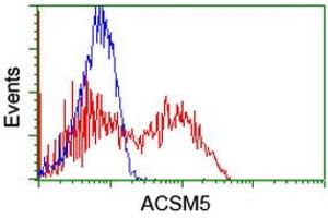 Flow Cytometry (FACS) image for anti-ACSM5 / MACS3 antibody (ABIN1496425) (ACSM5 / MACS3 anticorps)