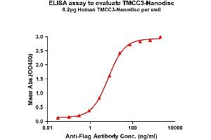 Elisa plates were pre-coated with Flag Tag T-Nanodisc (0. (TMCC3 Protéine)