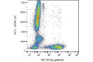 Surface staining of human peripheral blood cells with anti-human CD7 (MEM-186) PE-DyLight® 594. (CD7 anticorps  (PE-DyLight 594))