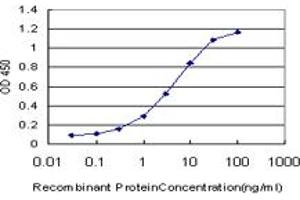 Detection limit for recombinant GST tagged NKX2-5 is approximately 0. (NK2 Homeobox 5 anticorps  (AA 1-324))