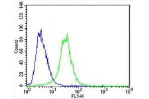 Flow Cytometry (FACS) image for anti-Carboxylesterase 2 (CES2) (AA 340-369) antibody (ABIN654618)