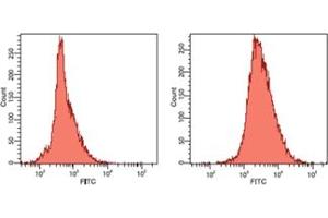 Flow cytometry analysis of human hepatoma QGY cells analyzed by flow cytometry using isotype control antibody (left) or HSP60 antibody (LK-1) (right). (HSPD1 anticorps)