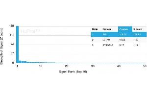 Analysis of Protein Array containing more than 19,000 full-length human proteins using Prolactin Mouse Monoclonal Antibody (PRL/2643). (Prolactin anticorps  (AA 63-201))