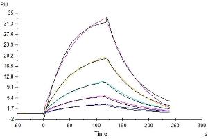 Surface Plasmon Resonance (SPR) image for CD96 (CD96) (AA 22-503) protein (His tag) (ABIN7274264)