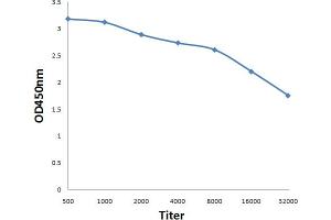 Antigen: 0. (Mycoplasma Gallisepticum anticorps)