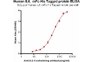 ELISA image for Interleukin 6 (IL6) (AA 30-212) protein (mFc-His Tag) (ABIN6961105)