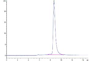Size-exclusion chromatography-High Pressure Liquid Chromatography (SEC-HPLC) image for Lymphocyte-Activation Gene 3 (LAG3) (AA 23-434) protein (His tag) (ABIN7275113)