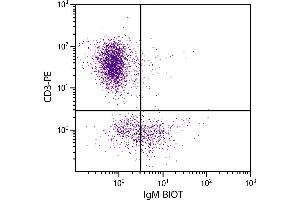 Chicken peripheral blood lymphocytes were stained with Mouse Anti-Chicken IgM-BIOT. (Souris anti-Poulet IgM Anticorps (Biotin))