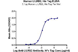 ELISA image for Leukocyte Immunoglobulin-Like Receptor, Subfamily B (With TM and ITIM Domains), Member 2 (LILRB2) (AA 22-458) protein (His-Avi Tag) (ABIN7275187)