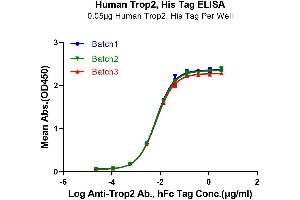 ELISA image for Tumor-Associated Calcium Signal Transducer 2 (TACSTD2) (AA 27-274) protein (His tag) (ABIN7275793)