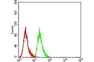 Flow cytometric analysis of Hela cells using MDM2 mouse mAb (green) and negative control (red). (MDM2 anticorps  (AA 26-169))