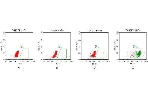 FACS analysis of TM4SF1 MNPs A. (TM4SF1 Protéine)