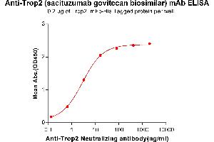 ELISA plate pre-coated by 2 μg/mL (100 μL/well) Human Trop2, mFc-His tagged protein ABIN6961178, ABIN7042385 and ABIN7042386 can bind Anti-Trop2 Neutralizing antibody in a linear range of 0. (Recombinant Trop2 (Sacituzumab Biosimilar) anticorps)
