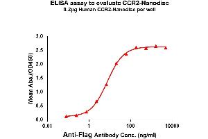Elisa plates were pre-coated with Flag Tag -Nanodisc (0. (CCR2 Protéine)