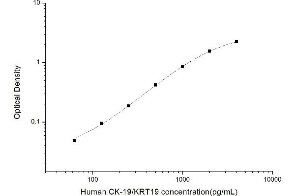 Cytokeratin 19 Kit ELISA