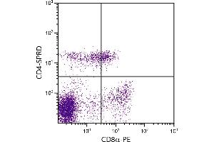 Porcine peripheral blood lymphocytes were stained with Mouse Anti-Porcine CD4-SPRD. (CD4 anticorps  (SPRD))