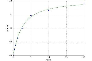 A typical standard curve (GALK1 Kit ELISA)