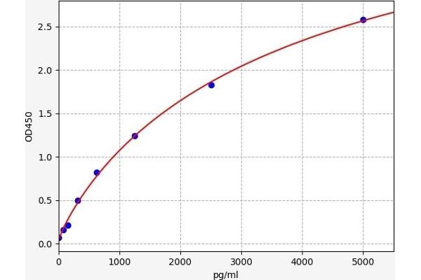 UCHL1 Kit ELISA