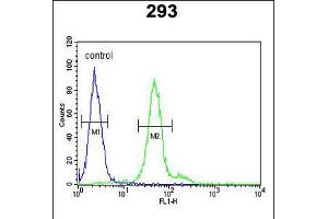 Flow cytometric analysis of 293 cells (right histogram) compared to a negative control cell (left histogram). (DDX23 anticorps  (AA 248-277))
