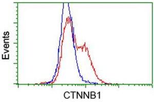 Image no. 3 for anti-Catenin (Cadherin-Associated Protein), beta 1, 88kDa (CTNNB1) antibody (ABIN1496895) (CTNNB1 anticorps)